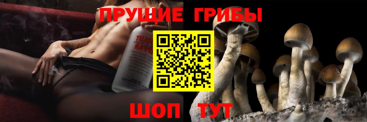 Галлюциногенные грибы MAGIC MUSHROOMS  Вход с VPN  Апатиты 